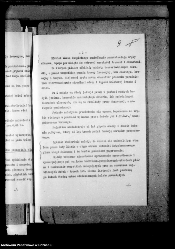 Obraz 13 z jednostki "Majętność leśna Zakrzewo powiat wągrowiecki"