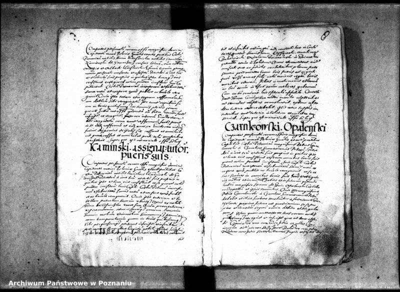 Obraz 12 z jednostki "Inscriptiones, relationes [inducta]"