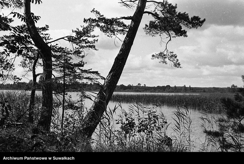 image.from.unit.number "[Jezioro Wigry ?]"