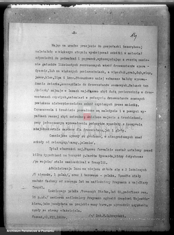 Obraz 19 z jednostki "/Majętność leśna Wąsowo w powiecie nowotomyskim/"