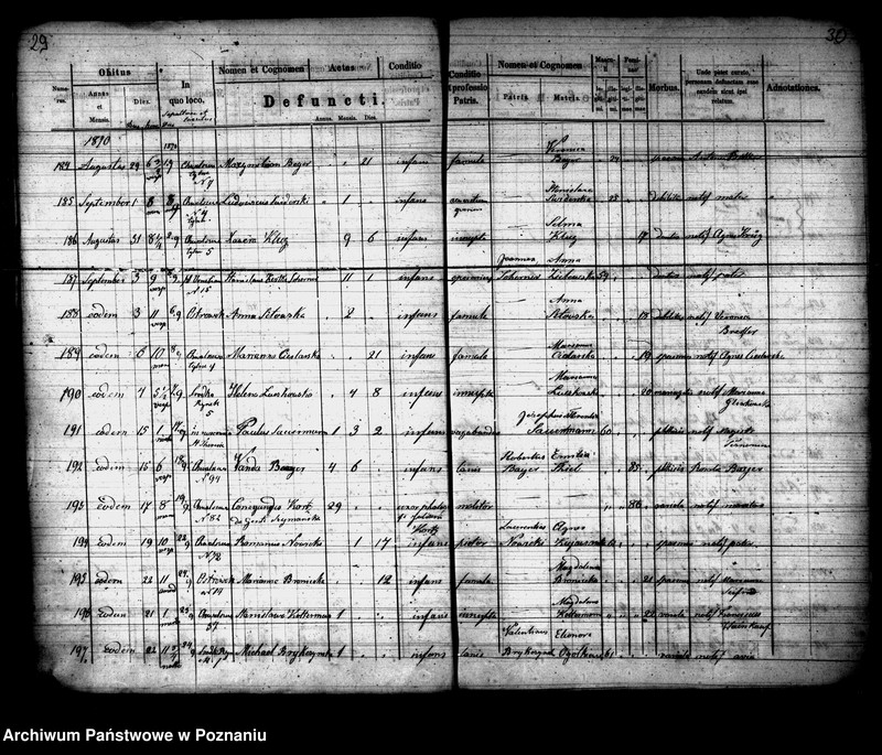 Obraz 16 z jednostki "Księga zgonów"