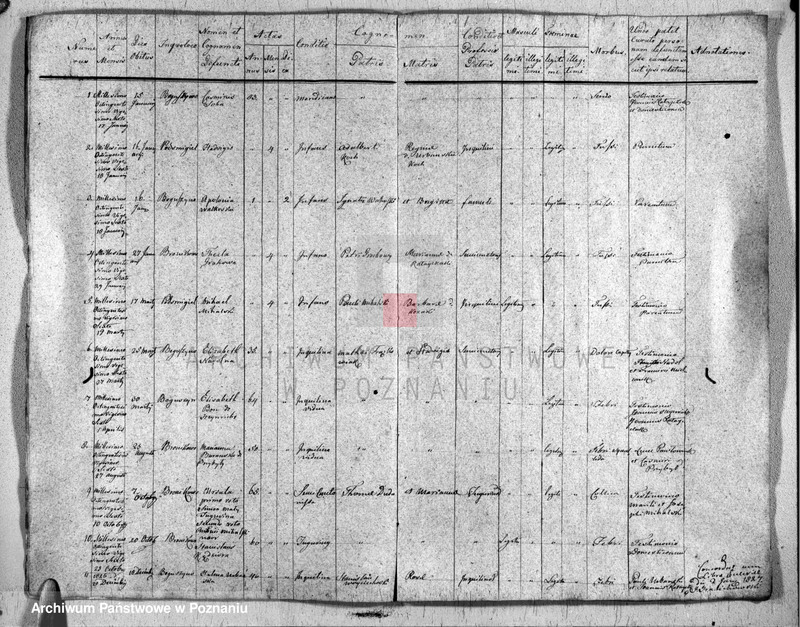 Obraz 5 z jednostki "Duplikat urodzonych, zaślubionych i zmarłych"