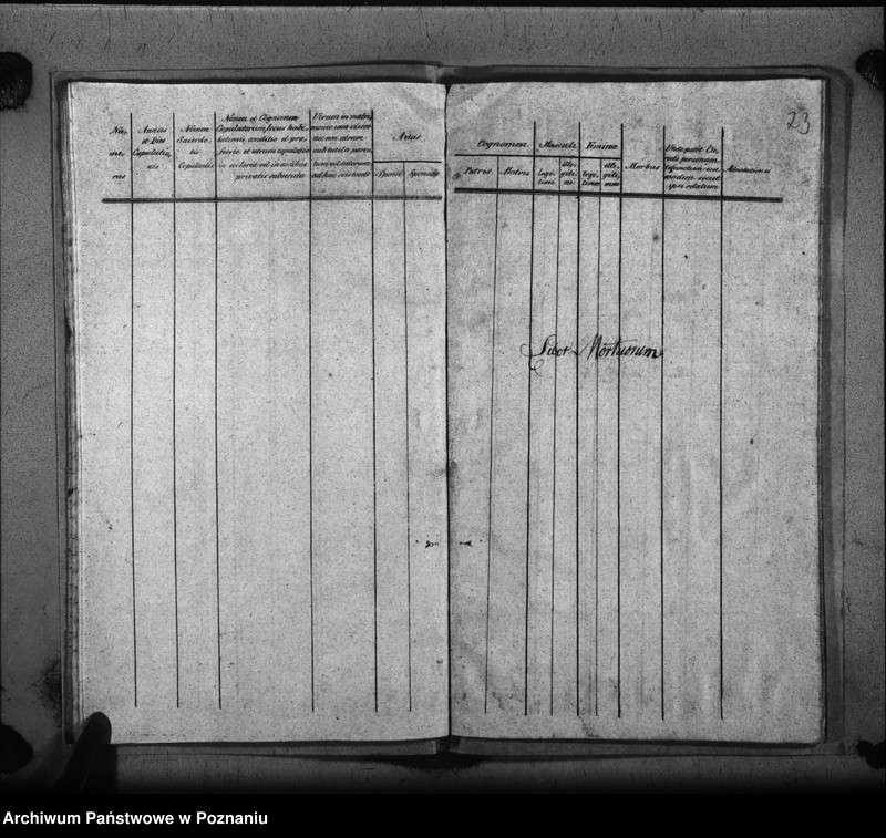 image.from.unit.number "Liber baptisatorum, copulatorum, mortuorum"