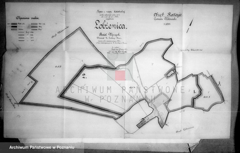 Obraz 20 z jednostki "Rejestr wyłączeń z art. 4 i 5 ustawy o wykonaniu reformy rolnej majątku Łobżenice"