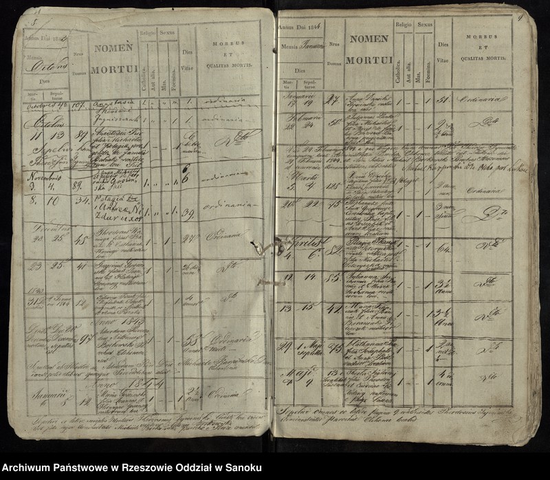 image.from.unit.number "Księga zgonów dla miejscowości Olchowce"