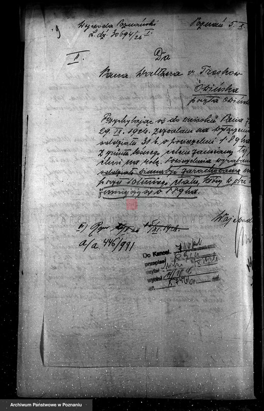 Obraz 13 z jednostki "Nadzór nad gospodarką w lasach majętności Owińska powiat poznański"