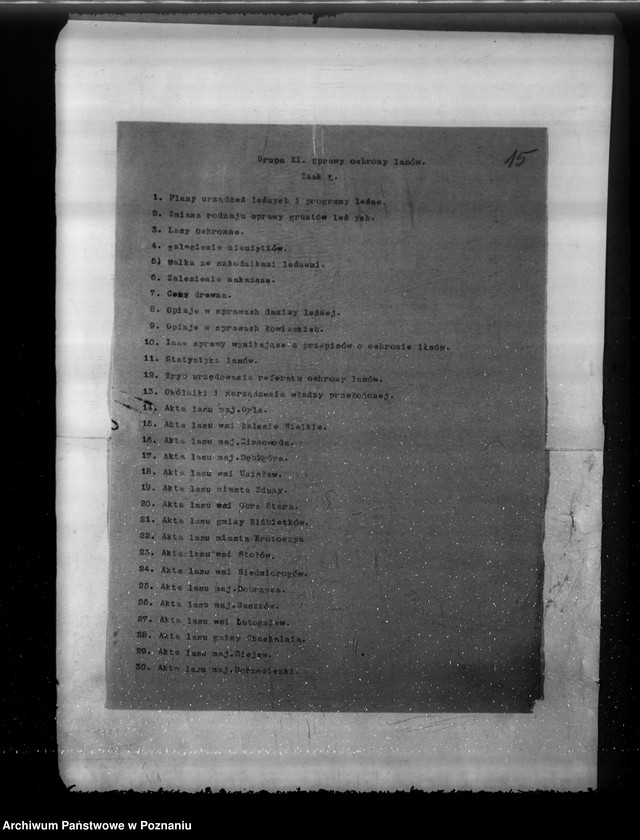 Obraz 19 z jednostki "Komisarze ochrony lasów"