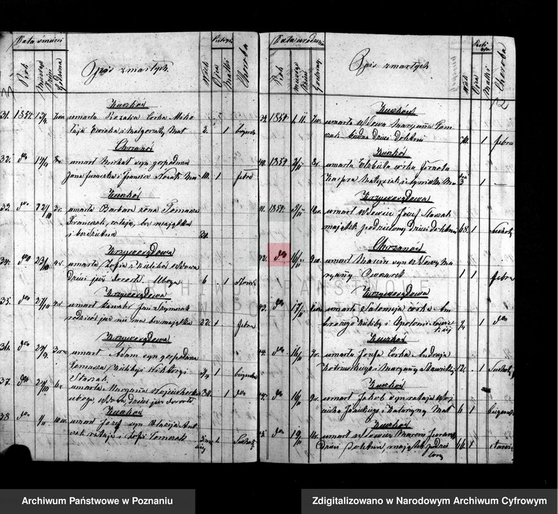 image.from.unit.number "Duplikat urodzeń, ślubów i zmarłych"