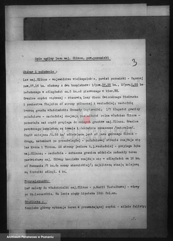 Obraz 7 z jednostki "Program urządzenia gospodarstwa leśnego dla lasu majętności Glinno powiat poznański 1938-1948"