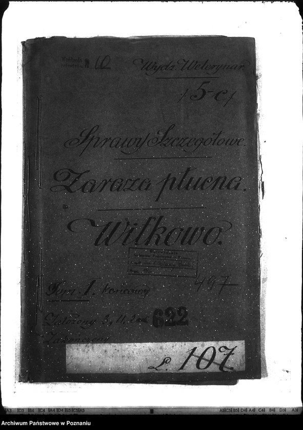 Obraz 4 z jednostki "Zaraza płucna - Witkowo"