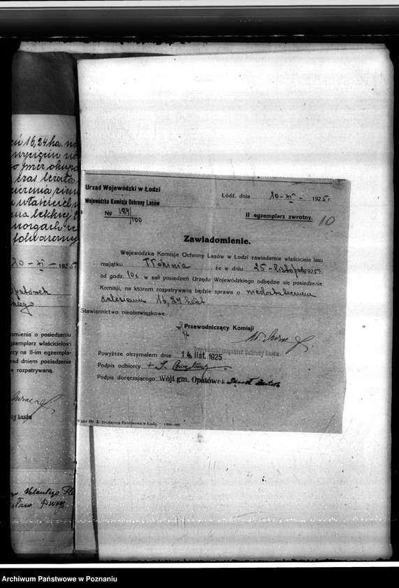 Obraz 14 z jednostki "Sprawa o niedostateczne zalesienie lasu 16,24 ha w majątku Tłokinia"