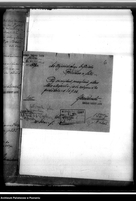 Obraz 10 z jednostki "Sprawa likwidacji serwitutów w lasach majątku Mycielin własność A. Doruchowskiego gmina Kościelec powiat kaliski"