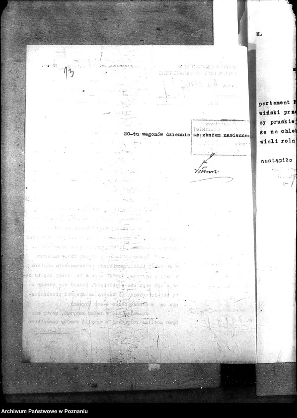 Obraz 18 z jednostki "Zboże siewne i sadzonki"