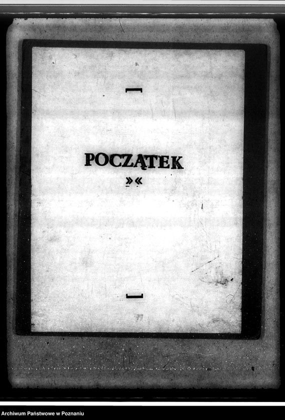 Obraz 3 z jednostki "Las majętności Wierzbiczany w powiecie inowrocławskim"