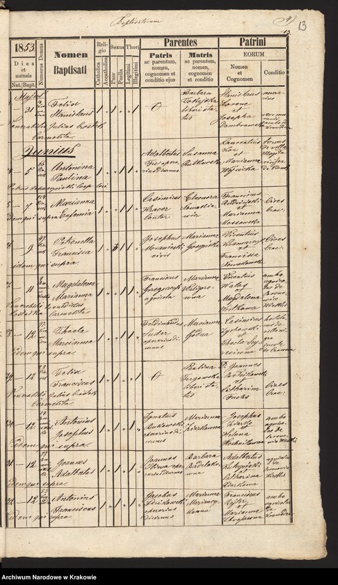 Obraz 16 z jednostki "[Akta urodzeń]"