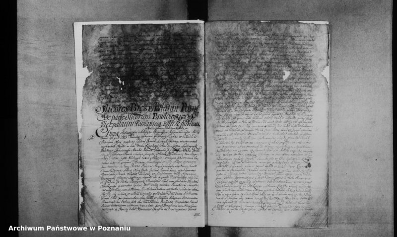 Obraz 19 z jednostki "Decreta officii [inducta]"