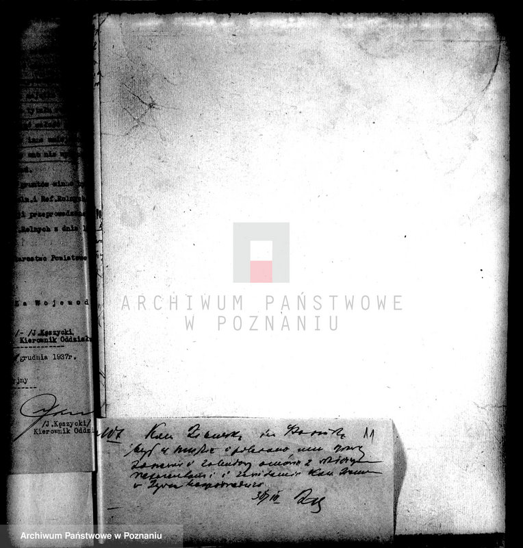 Obraz 15 z jednostki "Majątek Stołężyn powiatu wągrowieckiego parcelacja"