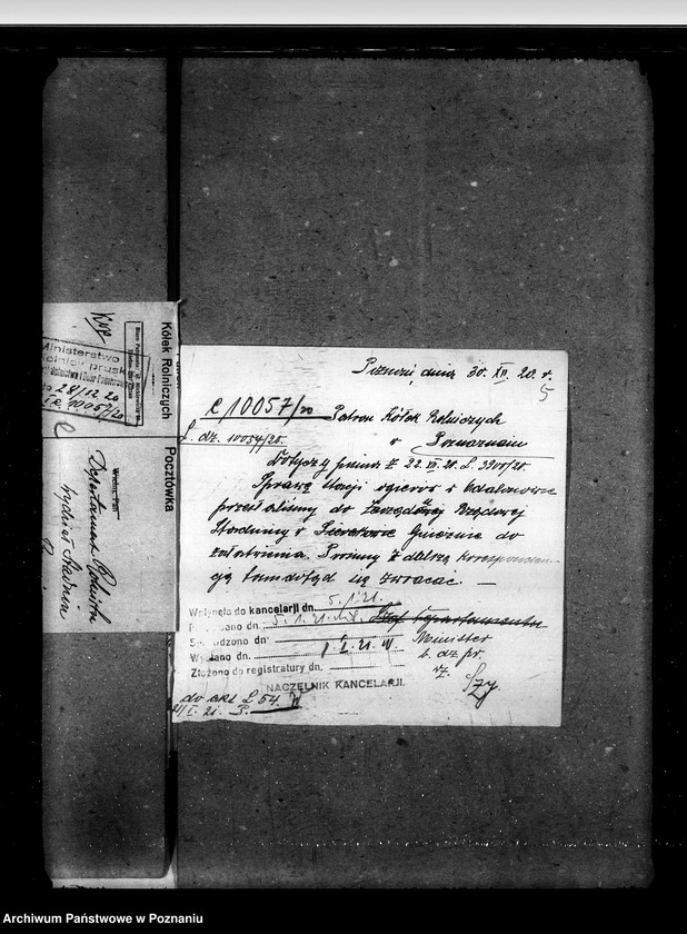 Obraz 9 z jednostki "Sprawy stadnin rozdział rządowych ogierów na stacjach"