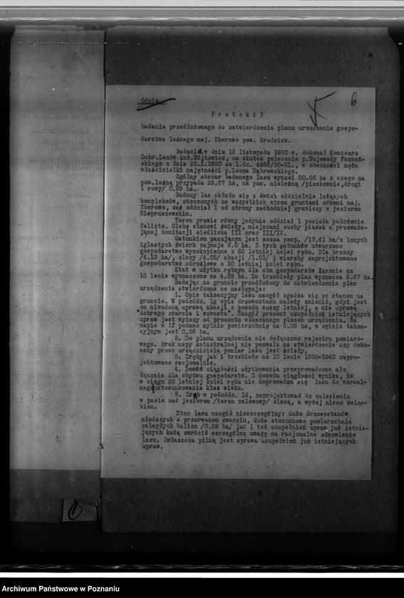 Obraz 10 z jednostki "Majętność leśna Zborowo powiat poznański"