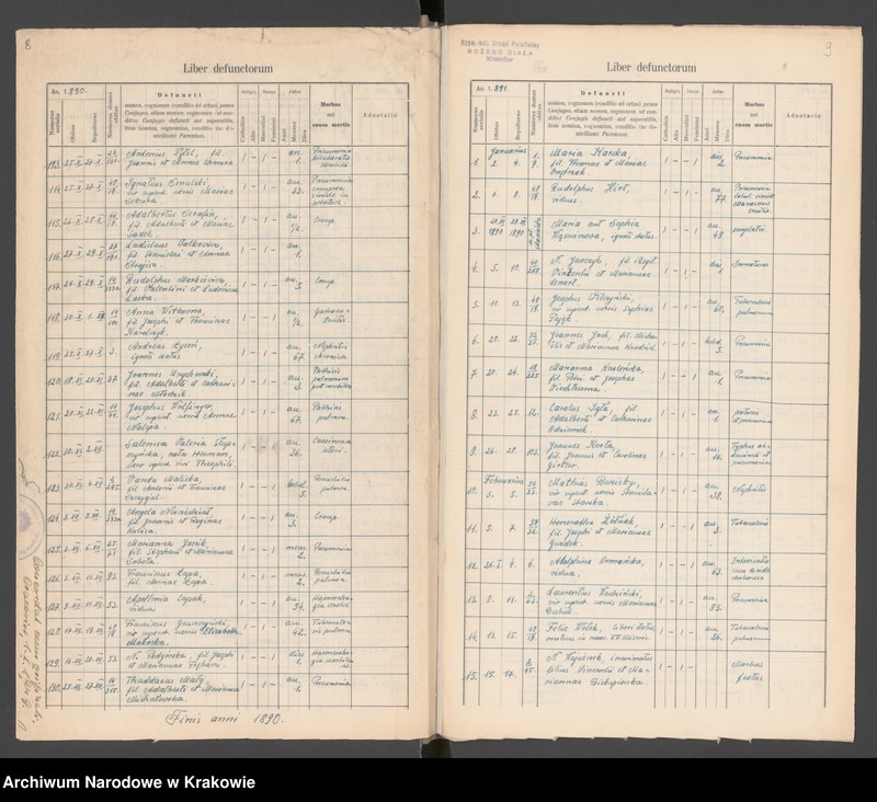 Obraz 8 z jednostki "[Księga zgonów]"