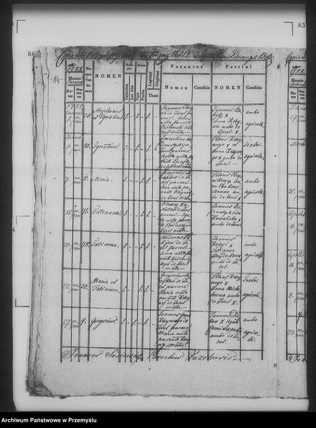 Obraz 18 z jednostki "[Kopie ksiąg metrykalnych parafii Żużel (dekanat Bełz)]"
