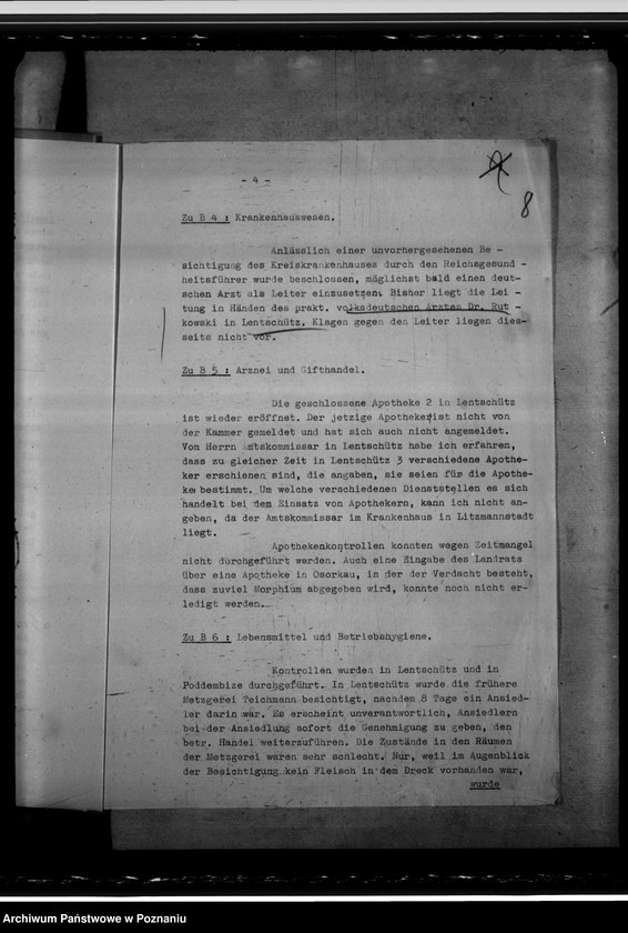 Obraz 12 z jednostki "Stand des Gesundheitswesens im Kreise Lentschütz (Łęczyca)"