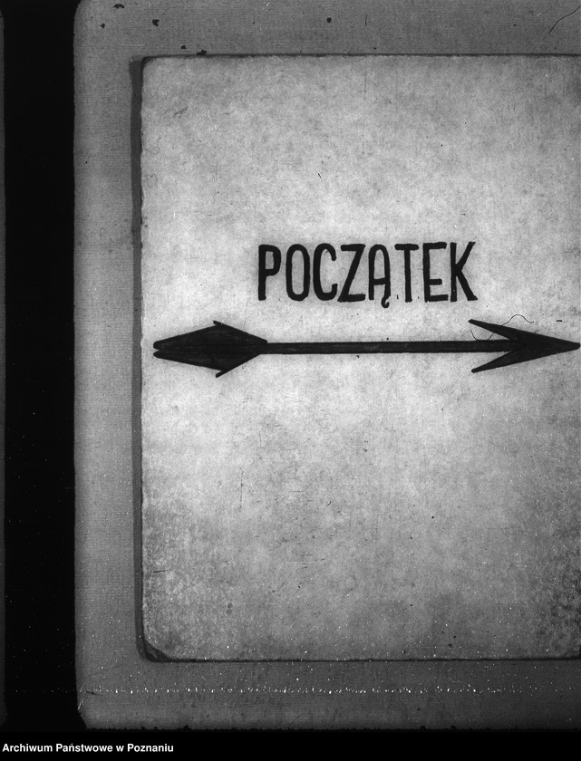 Obraz 3 z jednostki "Podział czynności dla Gaueinsatztab"