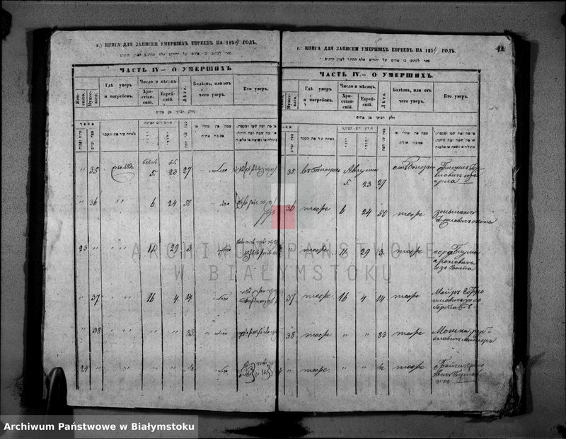 image.from.unit.number "[Akta zgonów za rok 1854]"