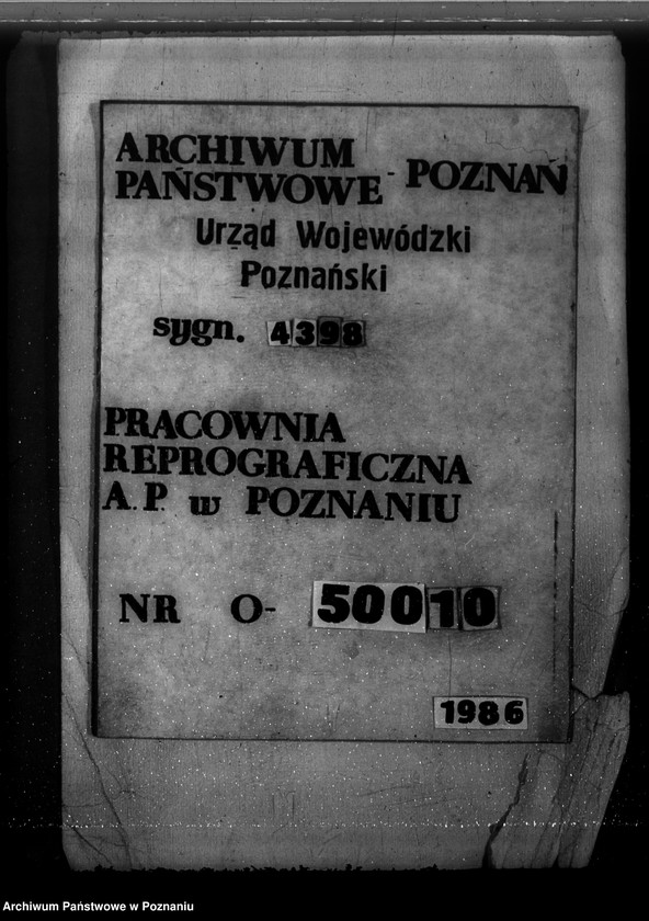 Obraz 14 z jednostki "Majętność leśna Osiek powiat kościański"