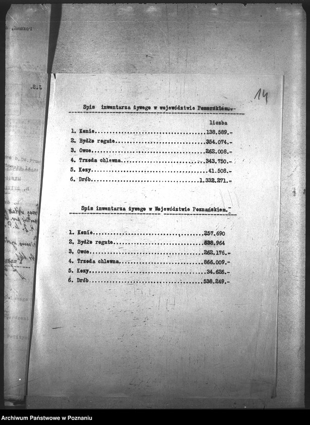 Obraz 18 z jednostki "Ogólne"