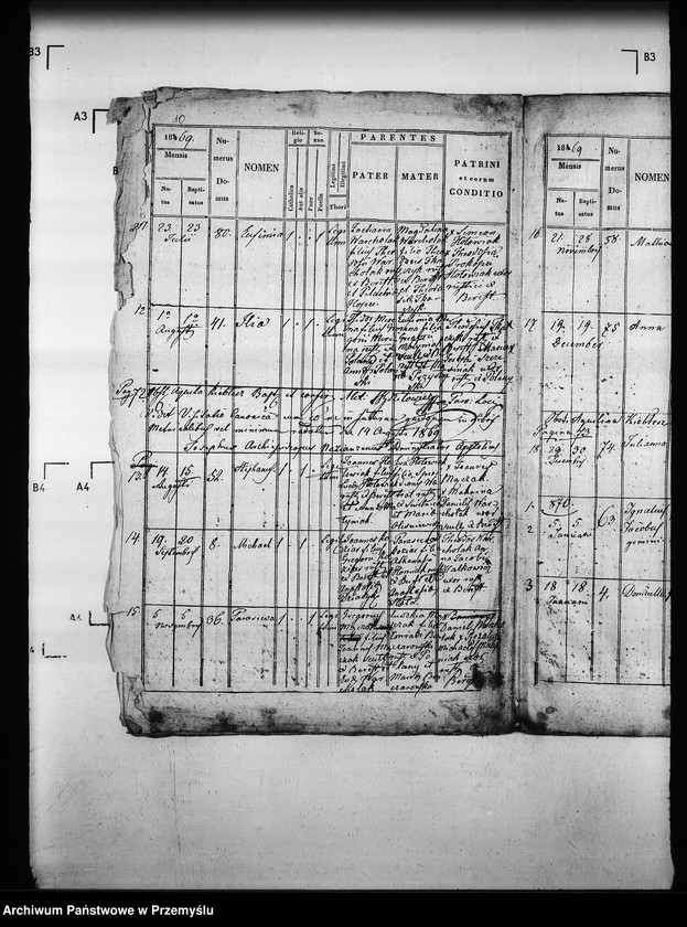 Obraz 14 z jednostki "[Kopie ksiąg metrykalnych parafii Berest z filią Polany (dekanat Grybów)]"