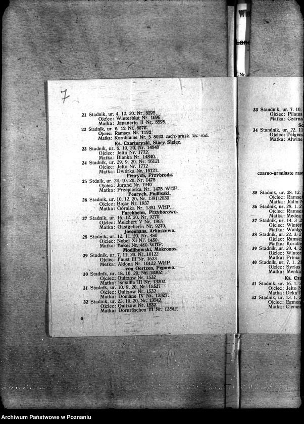 image.from.unit.number "Sprawy szczegółowo-administracyjne Aukcje inwentarza i wystawa"