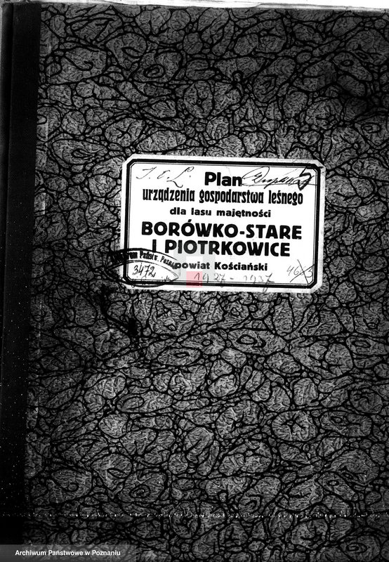 Obraz 4 z jednostki "Plan urządzania gospodarstwa leśnego dla lasu majętności Borówkowo-Stare i Piotrkowice powiat kościański"