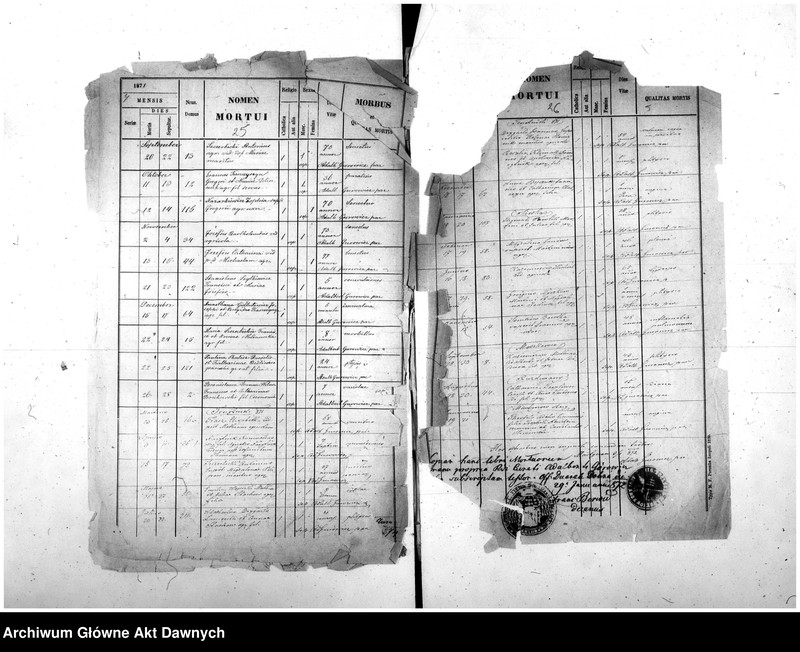 image.from.unit.number "Parafia: różne. Dekanat: różne. Fragmenty akt różnych parafii archidiecezji lwowskiej: 1. Gródek Jagielloński (dek. Gródek) - fragment (prawdopodobnie ekstrakt) księgi urodzeń z lat 1862-1863, 9 s.; 2. Kobylnica/Fehlbach (dek. Lubaczów) - fragment (prawdopodobnie ekstrakt) księgi urodzeń z lat 1901-1904, 1906-1908, 26 s.; 3. Martynów Nowy (dek. Dolina) - fragment księgi zgonów 1871, 1873, 5 s.; 4. Nadwórna (dek. Stanisławów) - fragment księgi urodzeń 1890, 9 s.; 5. Podhajce (dek. Podhajce) - fragment księgi zgonów 1899, 8 s.; 6. Podhorce (dek. Brody) - fragment księgi ślubów 1899-1900, 7 s.; 7. Stanisławów (dek. Stanisławów) - fragment (ekstrakt) księgi zgonów 1876 (pośw. 1877), s. 20; 8. Św. Stanisław (dek. Stanisławów) - fragment (ekstrakt) księgi urodzeń 1929, 2 s.; 9. Tyśmienica (dek. Stanisławów) - fragment księgi zgonów 1876, 2 s.; 10. Załoźce (dek. Brody) - fragment księgi ślubów, lata osiemdziesiąte XIX w., szczątek, 2 s.; 11. Śniatyn (dek. Horodenka) - fragment księgi urodzeń 1882, szczątek 2 s.; 12. Zawałów (dek. Skałat) - fragment (ekstrakt) księgi zgonów 1914, 3 s.; 13. Złotniki (dek. Podhajce) - fragment księgi zgonów 1891, 1 s.."