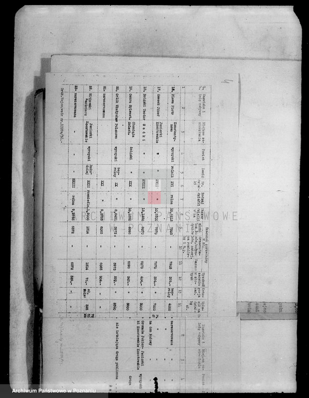 Obraz 8 z jednostki "Tymczasowy rejestr pomiarowy, operat parcelacyjny i szacunkowy majątku Jeziorki Kosztowskie powiatu wyrzyskiego"