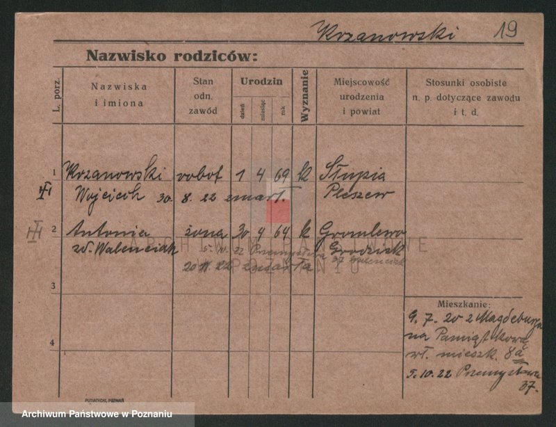 Obraz 19 z jednostki "Krzaczek - Krzyślak"