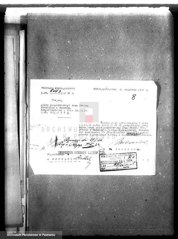 Obraz 12 z jednostki "Nadzór nad gospodarką w lasach majątku Bukowce powiat międzychodzki"