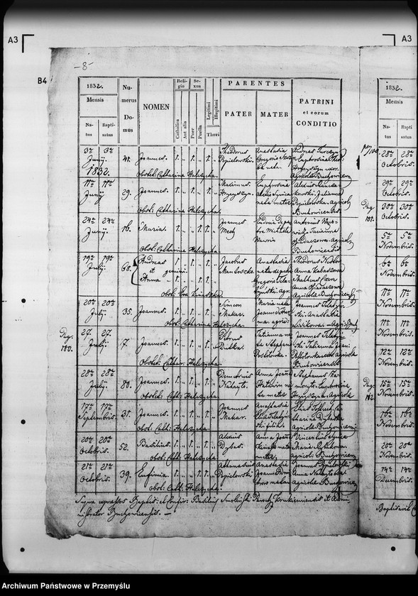 Obraz 12 z jednostki "[Kopie ksiąg metrykalnych parafii Pakość z filiami Buchowice, Czyszki (dekanat Mościska)]"