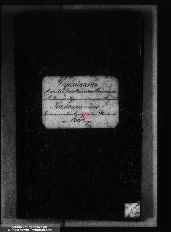 image.from.unit "[Księga duplikat aktów urodzonych, zaślubionych i zmarłych]"