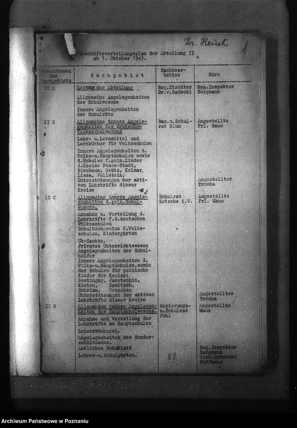 Obraz 5 z jednostki "Podziały czynności w wydziałach oraz przybudówkach urzędu namiestnika"