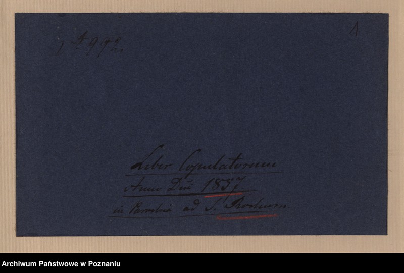 Obraz 3 z jednostki "Duplicat copulatorum"