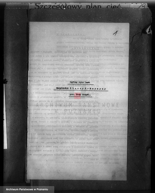 Obraz 5 z jednostki "Plan urządzenia gospodarstwa leśnego dla lasu majętności Zbąszyn-Perzyny powiat nowotomyski 1929-1939"