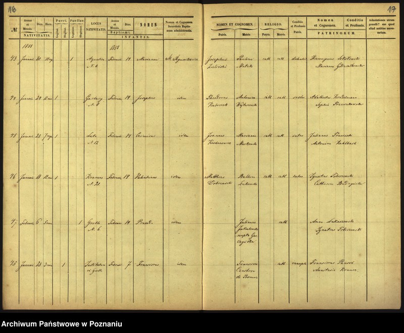 Obraz 11 z jednostki "Księga urodzin"