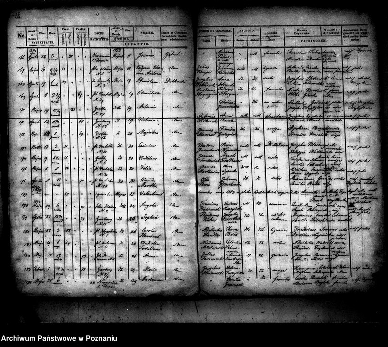 Obraz 14 z jednostki "Księga urodzin"