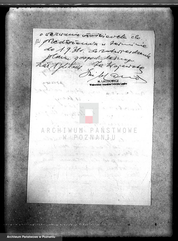 Obraz 16 z jednostki "Majątek Wierzbiczany w powiecie inowrocławskim /nadzór nad gospodarką leśną"