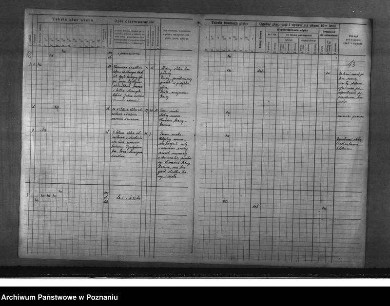 Obraz 13 z jednostki "Program urządzenia gospodarstwa leśnego dla lasu majętności Glinno powiat poznański 1928-1938"