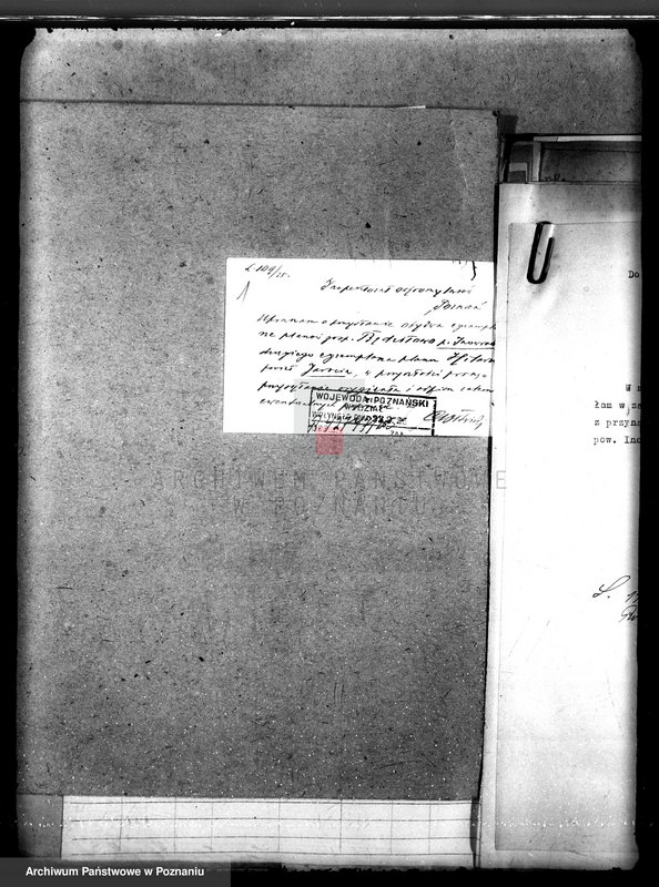 Obraz 5 z jednostki "Majętność leśna Będziłowo powiat inowrocławski"