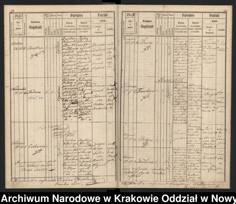 image.from.team "Akta stanu cywilnego Parafii Greckokatolickiej w Maciejowej"
