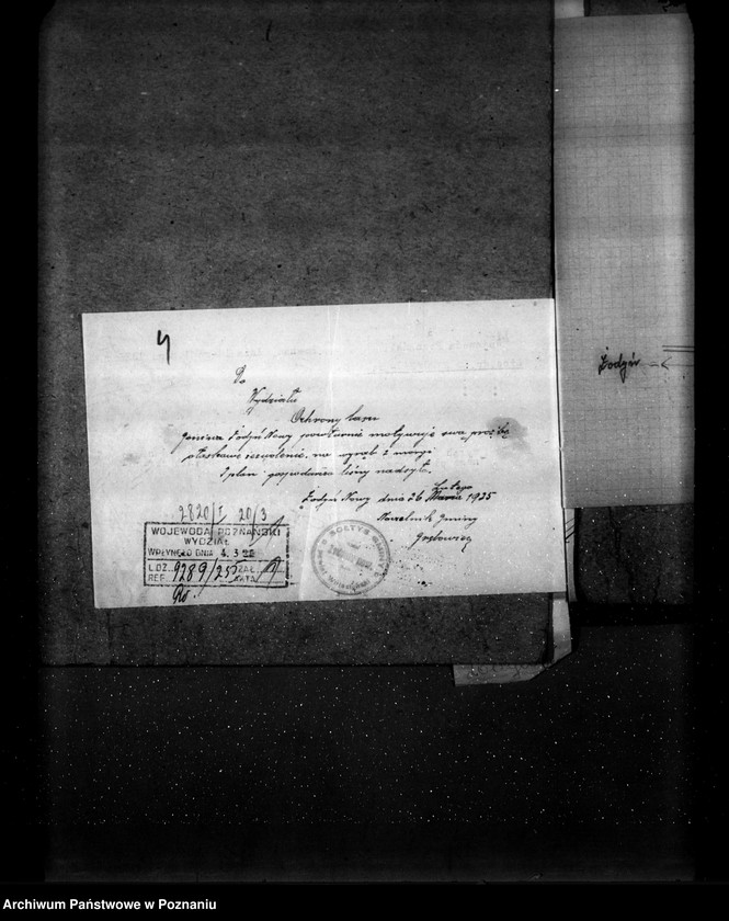 Obraz 8 z jednostki "Las gromady Żodyń Nowy powiat wolsztyński"