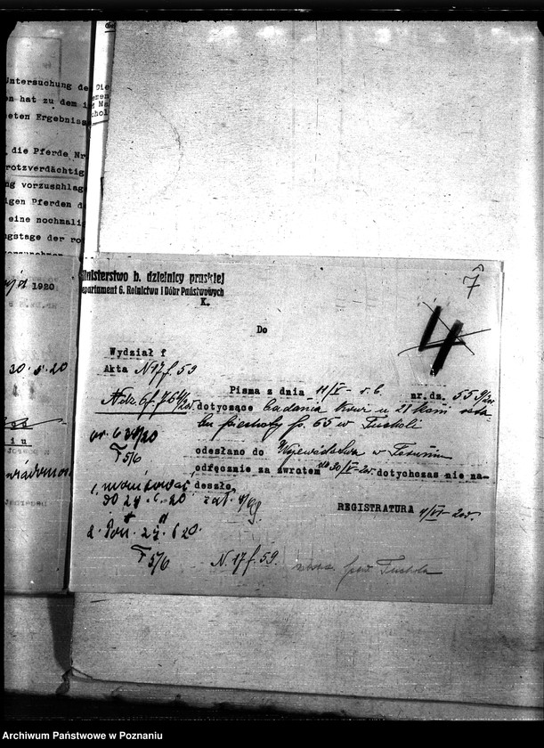 Obraz 11 z jednostki "Nosacizna - Tuchola"